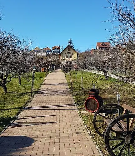 Nora * Hévíz